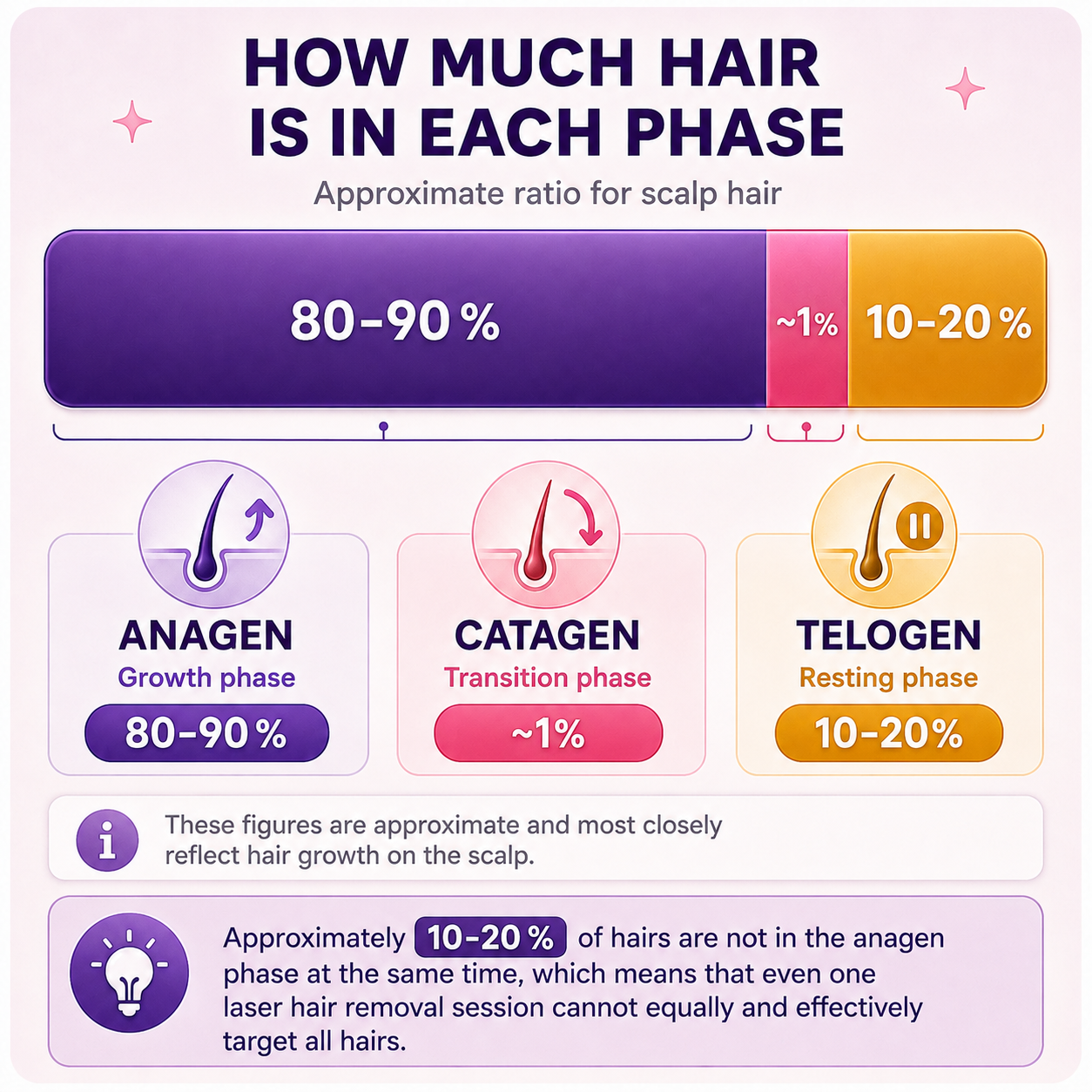 8_en hair_growth_phases_laser