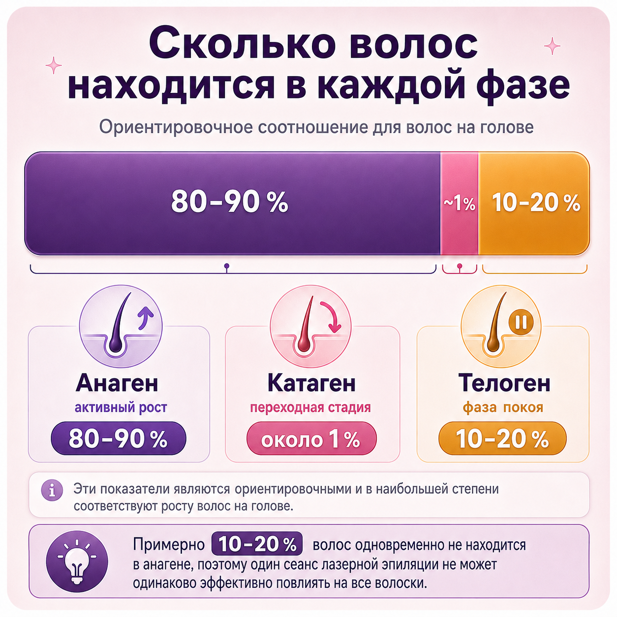 8_ru hair_growth_phases_laser