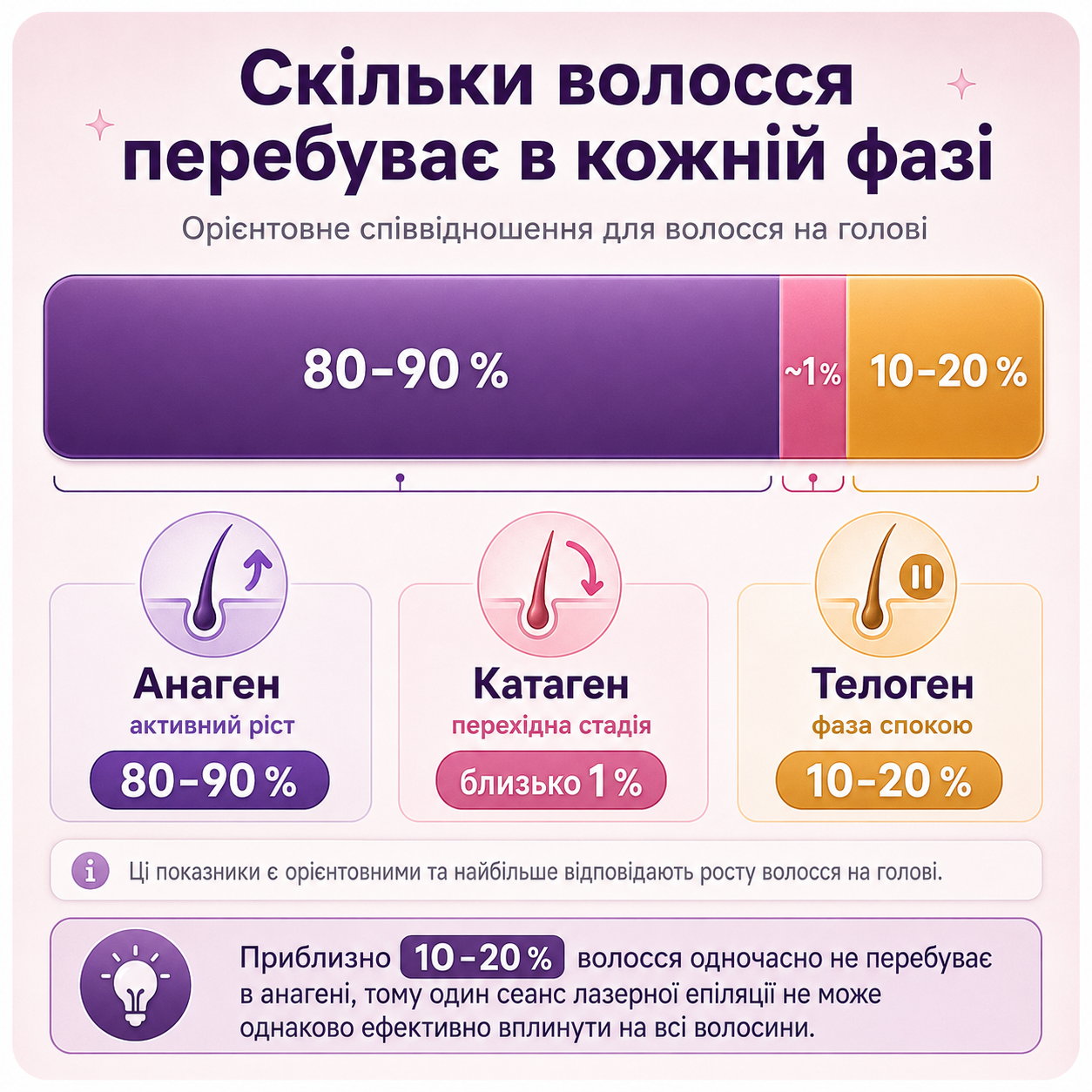 8_ua hair_growth_phases_laser